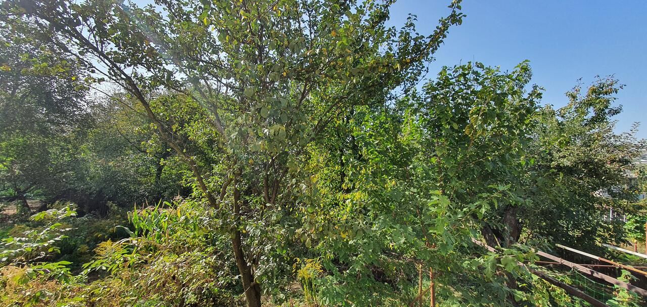 Отель Luxor Inn & Suites Черновцы-9