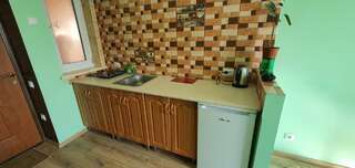 Отель Luxor Inn & Suites Черновцы Улучшенный двухместный номер с 2 отдельными кроватями и видом на сад-1