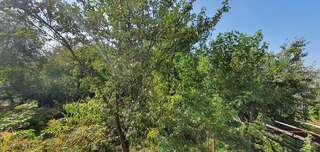 Отель Luxor Inn & Suites Черновцы Улучшенный семейный номер-4